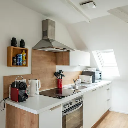 Le Schoepflin - Coeur De - Vue Toits Appartement Straatsburg