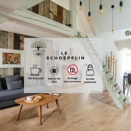 Le Schoepflin - Coeur De - Vue Toits Appartement